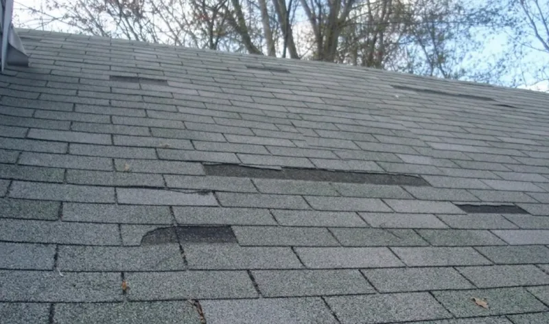 Missing and storm-damaged asphalt shingles on a Bellevue, WA residential roof — Real Great Roofing storm damage repair service