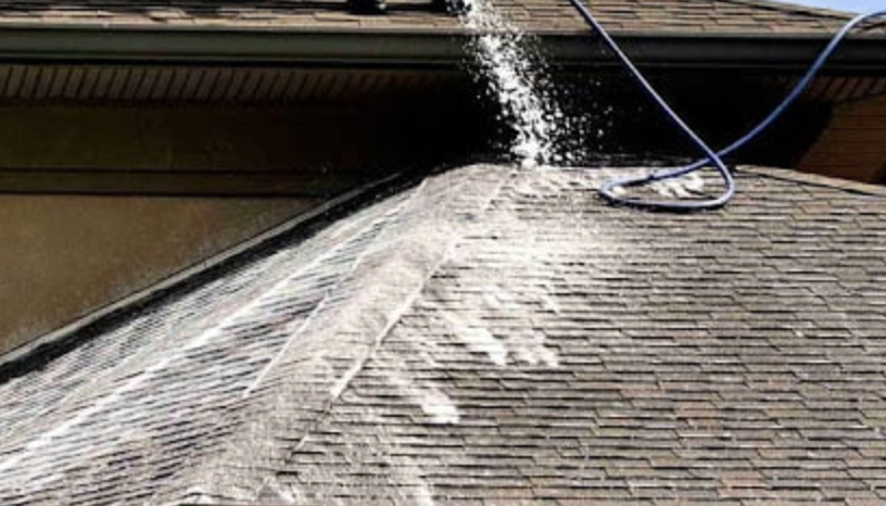 Soft-wash roof cleaning in Redmond WA — low-pressure solution applied to asphalt shingles to remove moss, algae, and lichen without granule damage, by Real Great Roofing